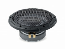 Сабвуферный динамик Focal SUB 20 SF Slatefiber - 4